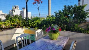 Terraza - <span class='unbreak'>foto 2</span>